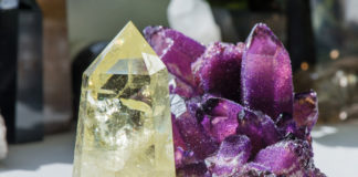 Regalos de la Madre Tierra.