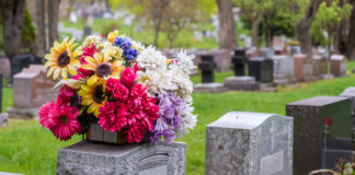 Seres del más allá.