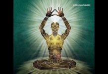 Meditación «Liberándonos de bichos energéticos»