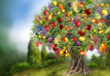 Meditación «Abundancia».