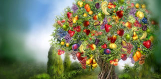 Meditación «Abundancia».