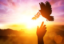 Cómo identificar un mensaje de Luz.