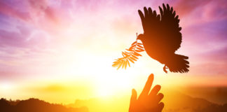 Cómo identificar un mensaje de Luz.