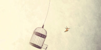 Enfermedades del pasado.