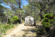 Cuento «La roca y el rey».