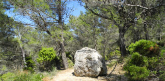 Cuento «La roca y el rey».