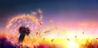 Sufrir es del ego, no del Ser: ¿Por qué nos gusta sentir dolor?