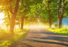 La gran transformación: motivación para seguir tu vida.