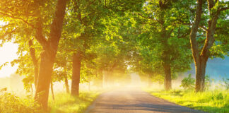 La gran transformación: motivación para seguir tu vida.