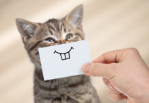 Siete efectos muy positivos de sonreír.