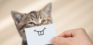 Siete efectos muy positivos de sonreír.