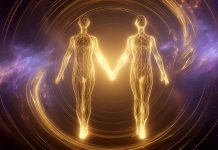 (WEBINAR GRATUITA) Relaciiones Kármicas